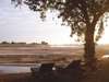Tafika Lodge - Relax 